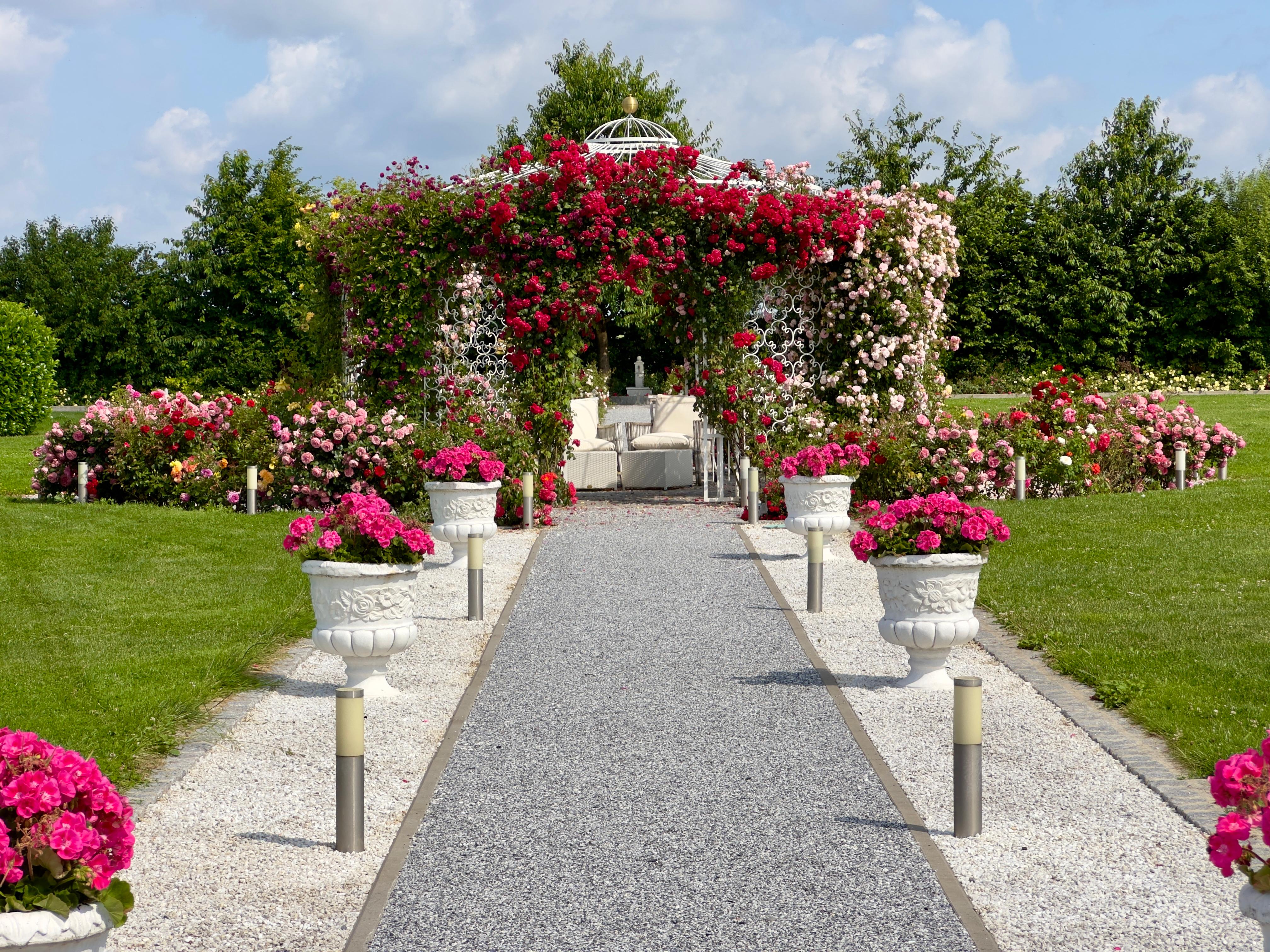 Weg durch den Rosengarten, der zum Pavillon für eine freie Trauung führt